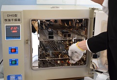 膠粘劑固化形式及影響因素詳解