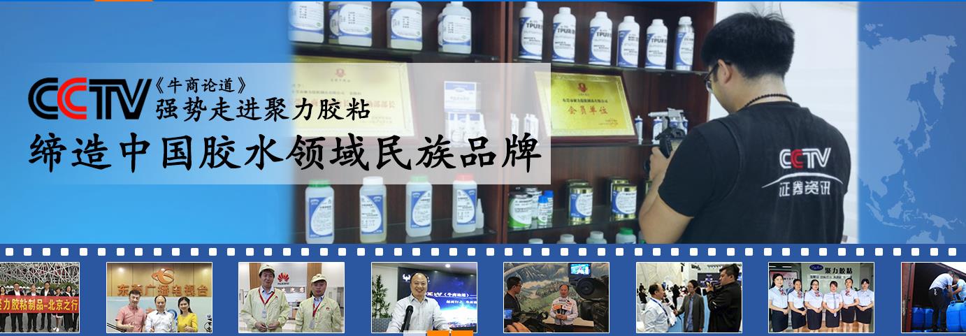 質(zhì)為本 樹口碑