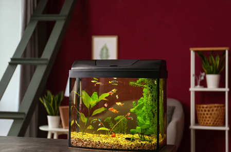 水族箱供氧設(shè)備耐高溫膠水,聚力24年廠家研發(fā)